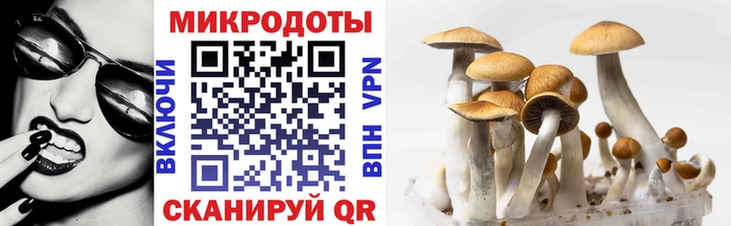где можно купить   Десногорск  Галлюциногенные грибы мицелий 